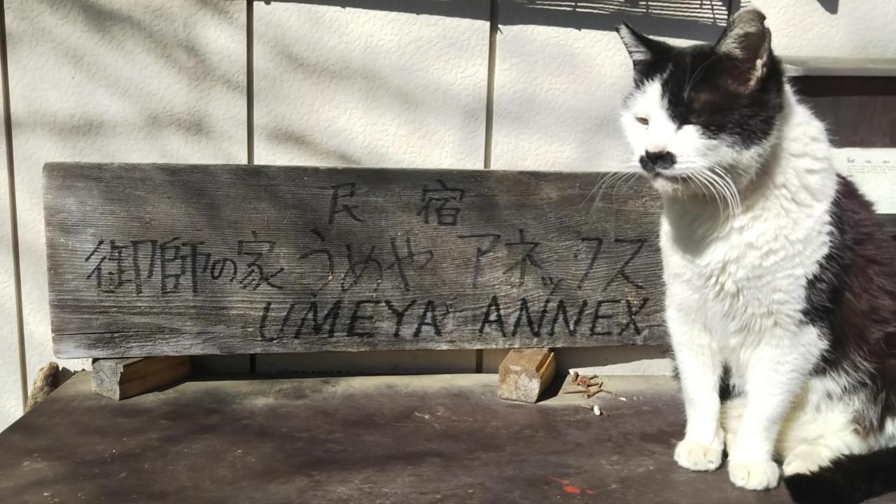 Гостевой дом Umeya Annex Фудзикавагутико Экстерьер фото